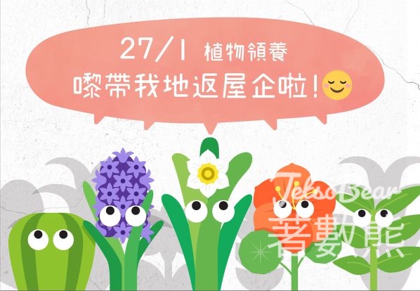 「活化．活花」種植墟市 免費領取植物 - Jetso Bear