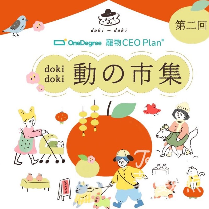 OneDegree 寵物CEO Plan® presents - ᴅᴏᴋɪ ᴅᴏᴋɪ動の市集 送神秘禮品 - Jetso Bear