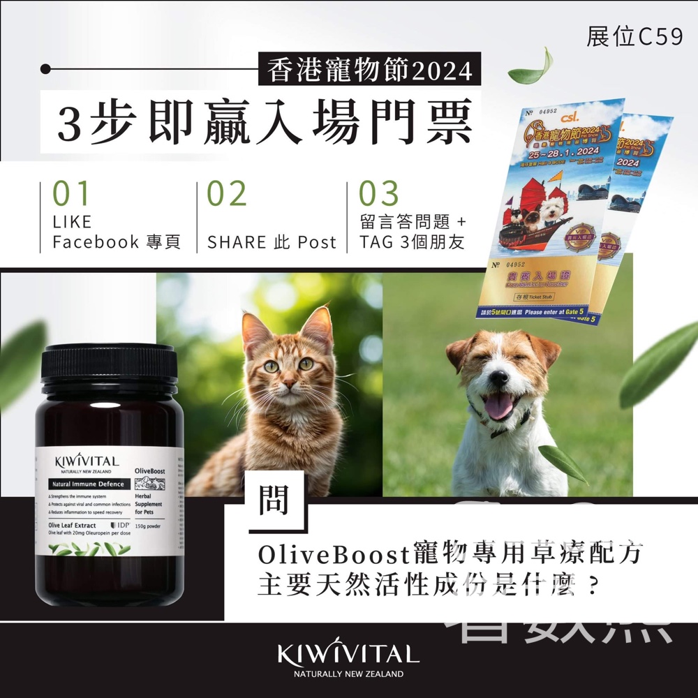Kiwivital #有獎遊戲 送30份 香港寵物節2024入場門票 - Jetso Bear
