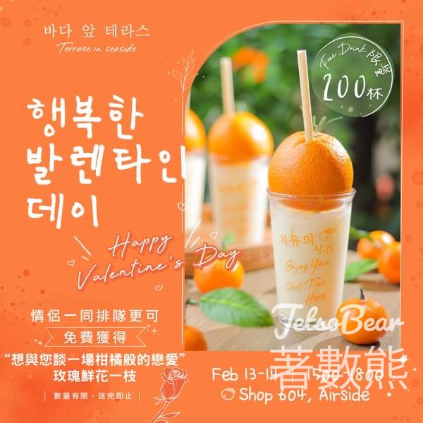 Terrace in seaside 免費派發 200杯 濟州柑橘乳酪 - Jetso Bear