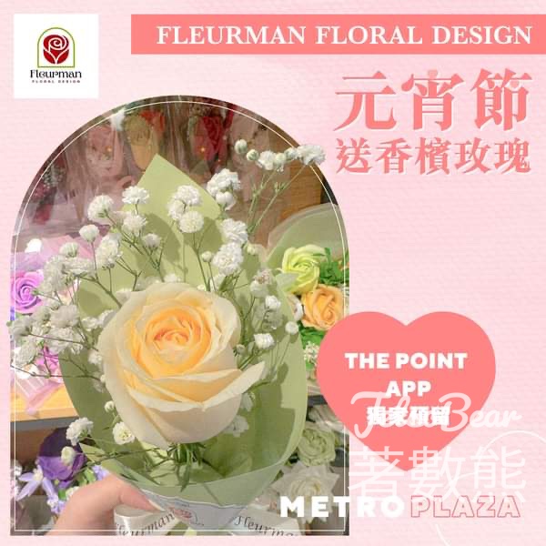 Fleurman Floral Design 免費派發 100枝香檳玫瑰 - Jetso Bear