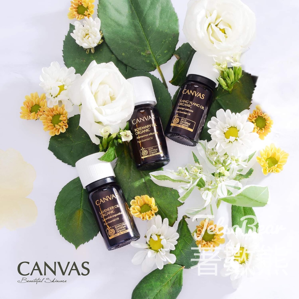 預約參加 CANVAS 薰享工作坊 調配香薰護理油 - Jetso Bear