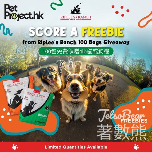 PetProject免費贈送 100份貓狗糧 - Jetso Bear