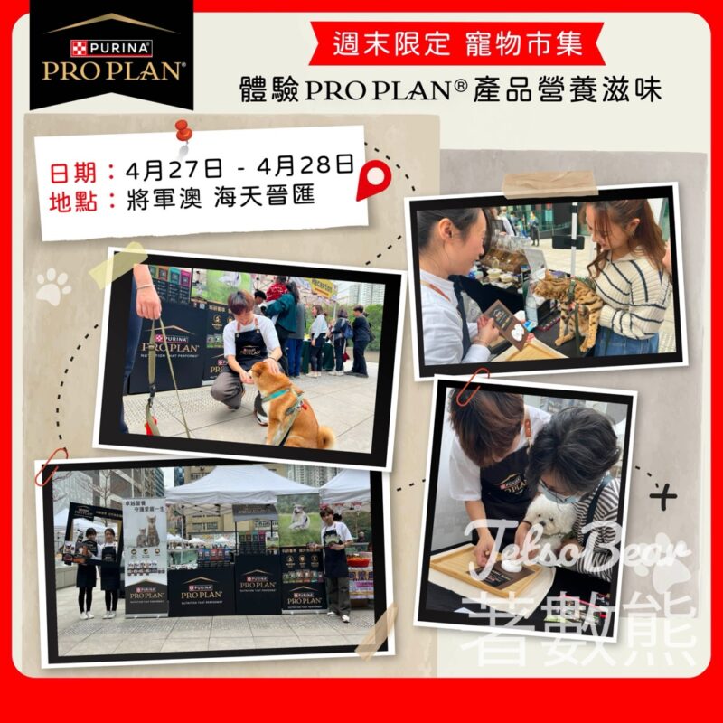 PRO PLAN®限定體驗活動 送專屬腳印黏土模型 - Jetso Bear