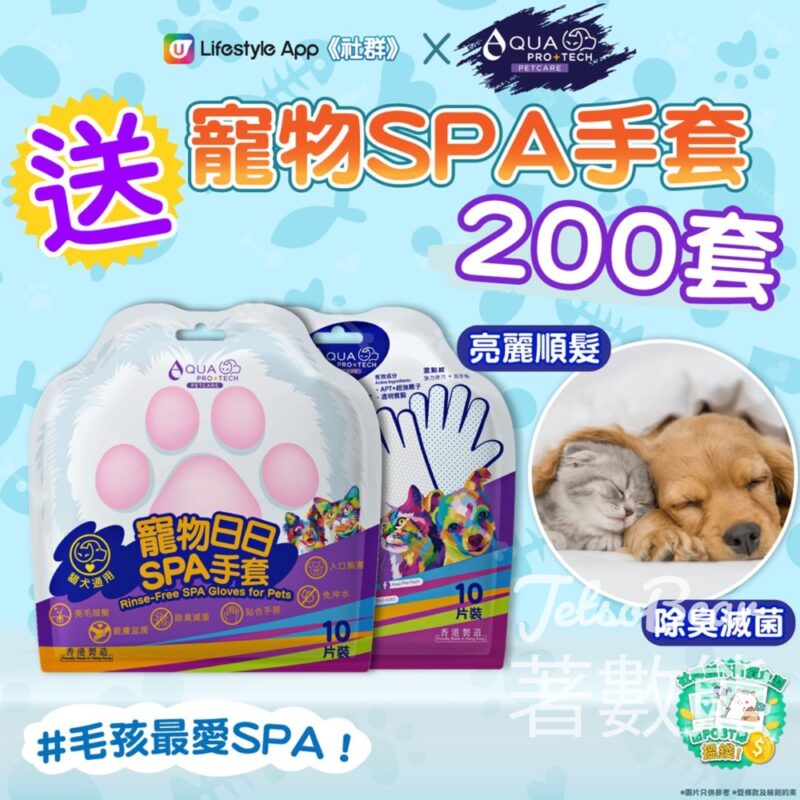 港生活 #有獎遊戲 送200套 寵物日日SPA手套 - Jetso Bear