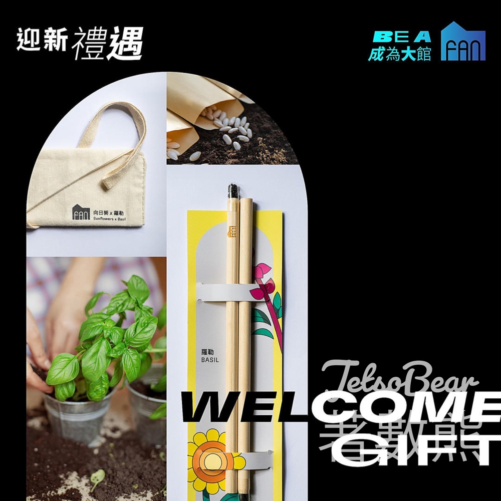 登記大館會員 送種子鉛筆套裝 - Jetso Bear