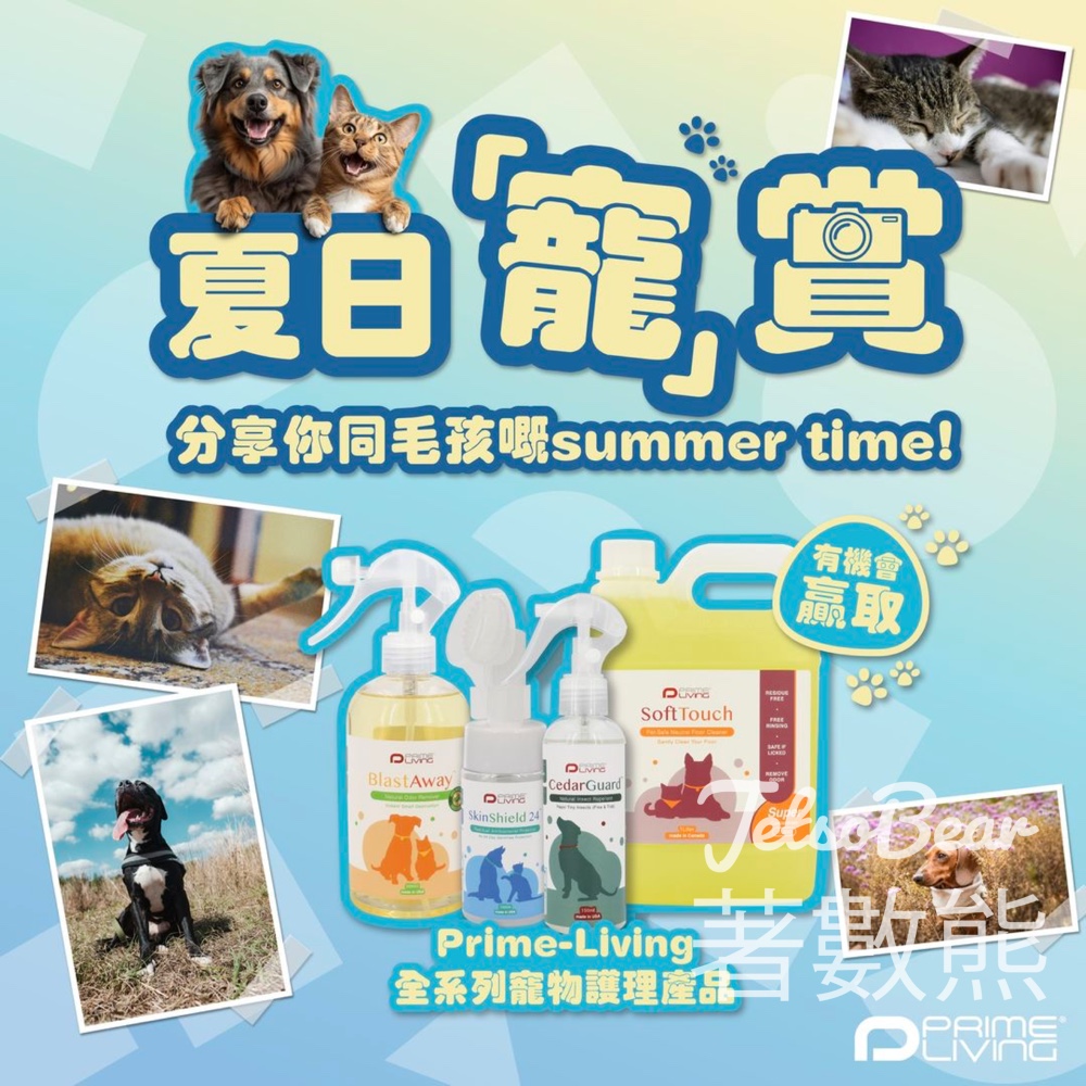 Prime-Living #有獎遊戲 送寵物護理系列產品 - Jetso Bear