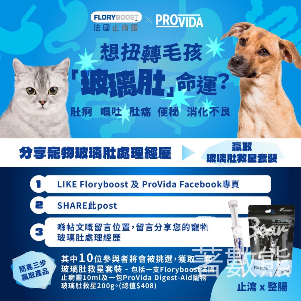 ProVida #有獎遊戲 送寵物玻璃肚救星套裝 - Jetso Bear