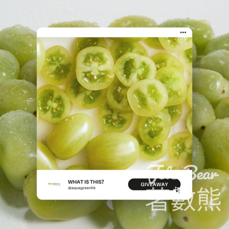 AquaGreen 免費贈送 綠車厘茄 - Jetso Bear