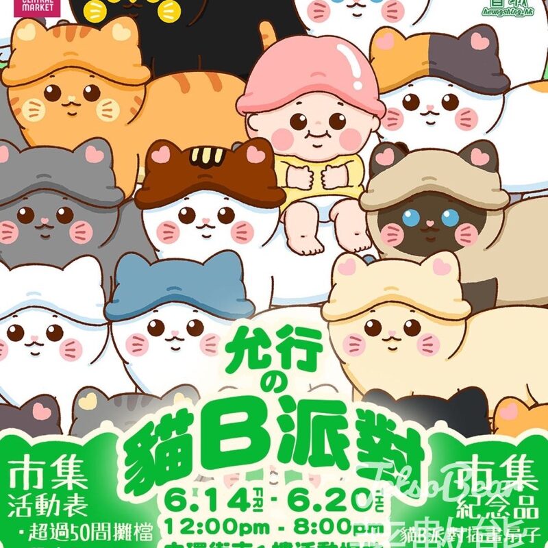 【Marketoo市集 x 香城 - 貓B派對 免費換領 插畫扇子 - Jetso Bear