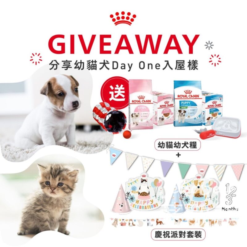 Royal Canin #有獎遊戲 送幼貓幼犬糧及派對套裝 - Jetso Bear