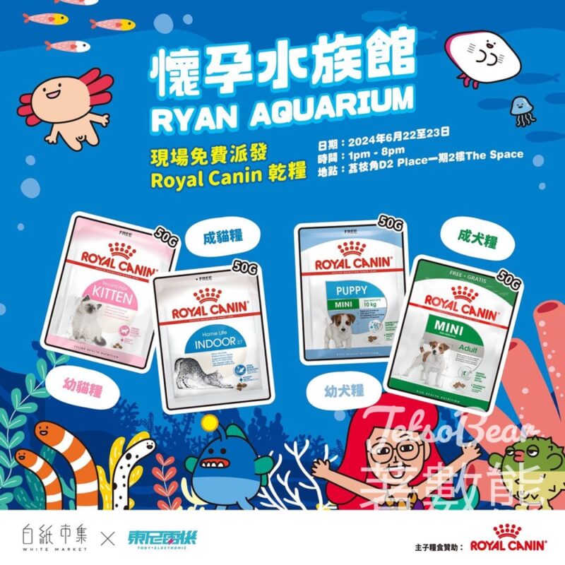 白紙市集 x 東尼電機 - 懷孕水族館 免費領取Royal Canin 貓糧/狗糧及市集紀念品 - Jetso Bear