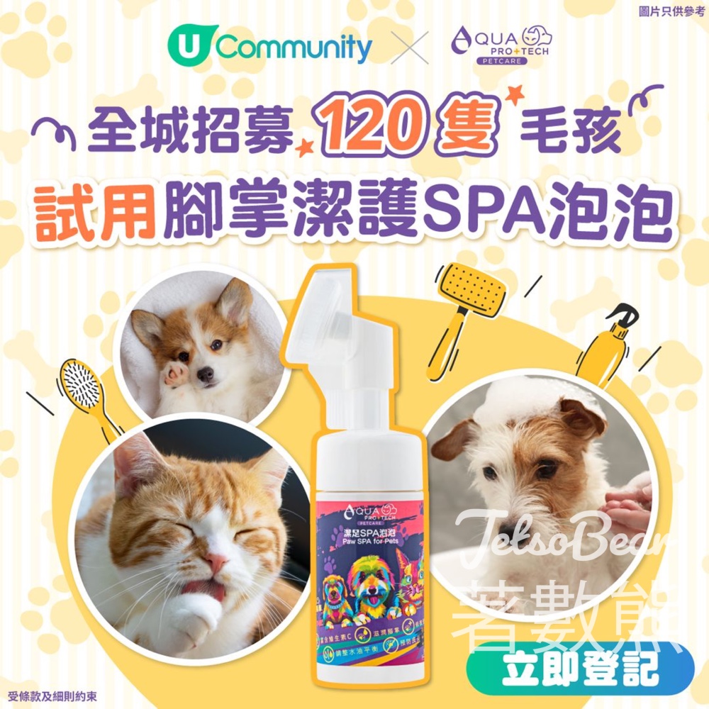 U Lifestyle #有獎遊戲 送120份 AQUA PRO+TECH PETCARE腳掌潔護SPA泡泡 - Jetso Bear