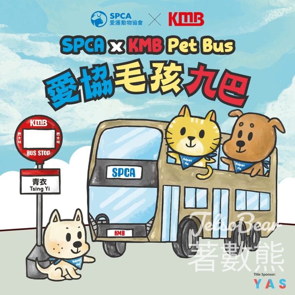 愛協寵物夏季健康慶典活動 愛協毛孩九巴 - Jetso Bear
