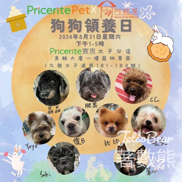 阿棍屋X Pricerite Pet 狗狗領養日 - Jetso Bear