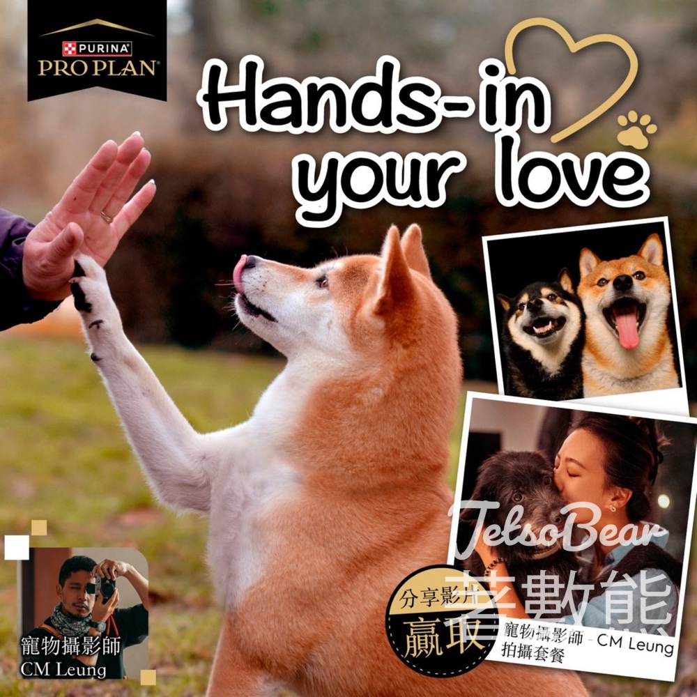 Pro Plan #有獎遊戲 送CM Leung 攝影套餐 - Jetso Bear