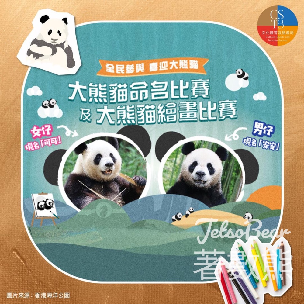 大熊貓命名比賽 及 大熊貓繪畫比賽 - Jetso Bear