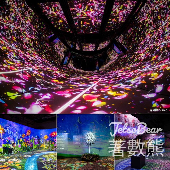 FWD MAX 新會員 免費換領 《NAKED FLOWERS 花舞光影展》門票 - Jetso Bear