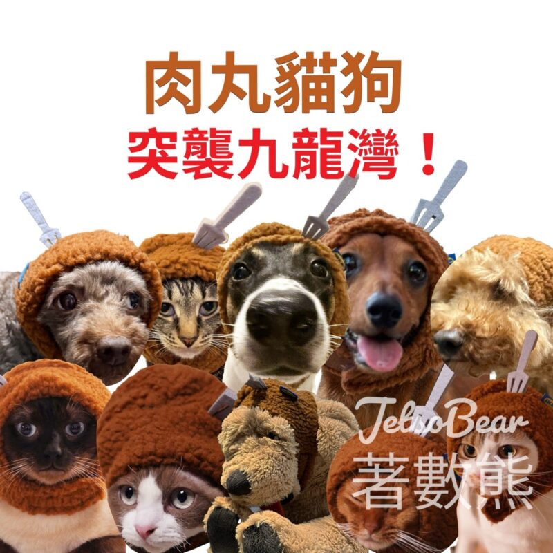 IKEA 宜家九龍灣店 換領IKEA寵物肉丸頭套 - Jetso Bear