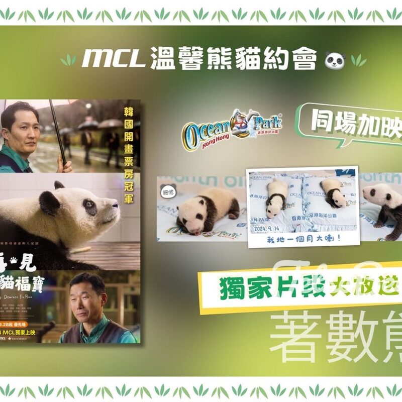 憑《再．見熊貓福寶》MCL戲票 免費換領 「海洋公園大熊貓BB滿月」明信片 - Jetso Bear