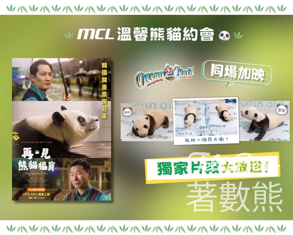 憑《再．見熊貓福寶》MCL戲票 免費換領 「海洋公園大熊貓BB滿月」明信片 - Jetso Bear