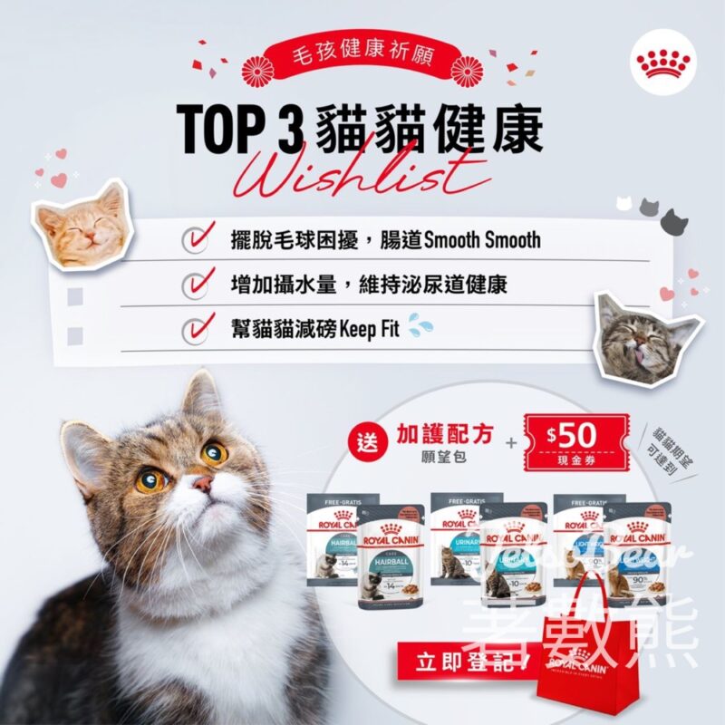 Royal Canin 免費領取 貓貓加護配方願望包 - Jetso Bear