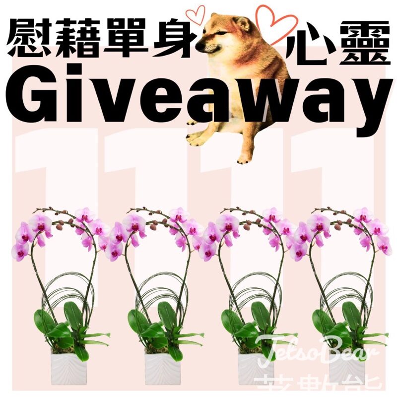 Givegift Boutique 尚禮坊 #有獎遊戲 送粉蝴蝶蘭花藝盆栽 - Jetso Bear