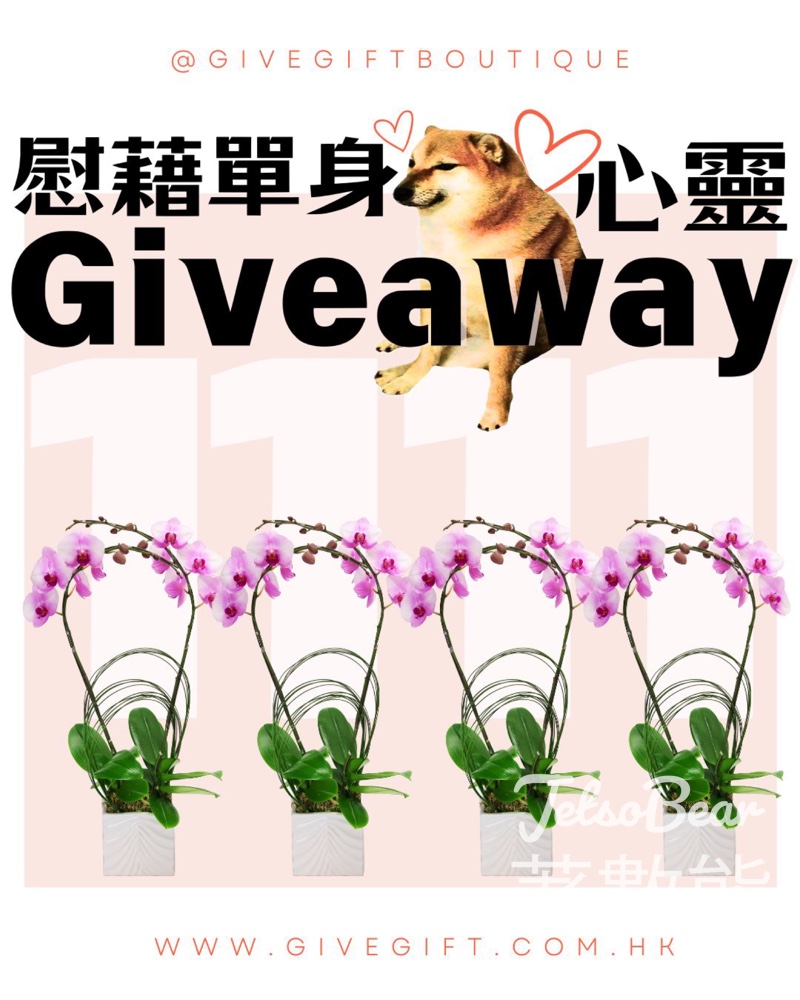 Givegift Boutique 尚禮坊 #有獎遊戲 送粉蝴蝶蘭花藝盆栽 - Jetso Bear
