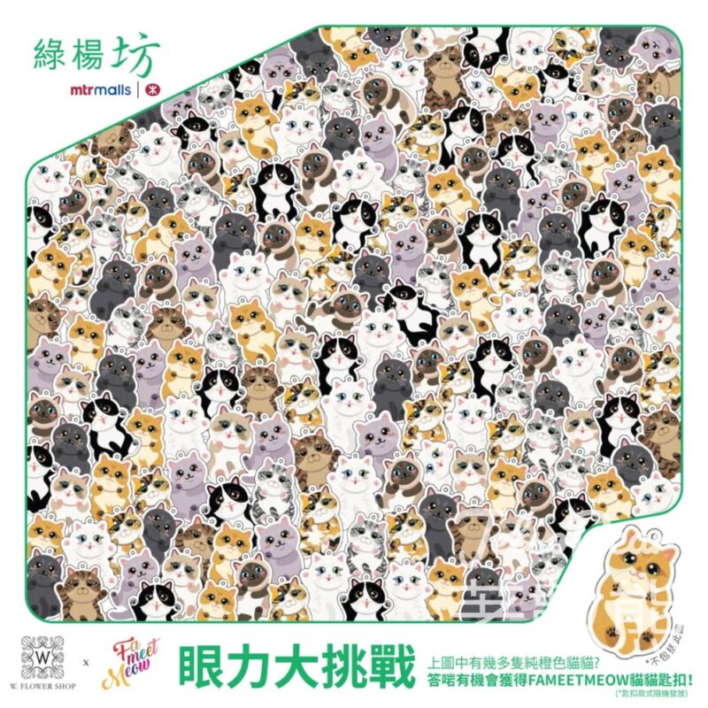 綠楊坊 #有獎遊戲 送FAMEETMEOW 貓貓匙扣 - Jetso Bear