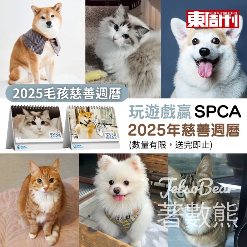 東周刊 #有獎遊戲 送SPCA 2025年慈善座枱週曆 - Jetso Bear