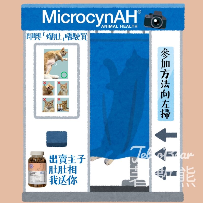 Microcynah #有獎遊戲 送PhD功能保健腸道健康貓小食 - Jetso Bear