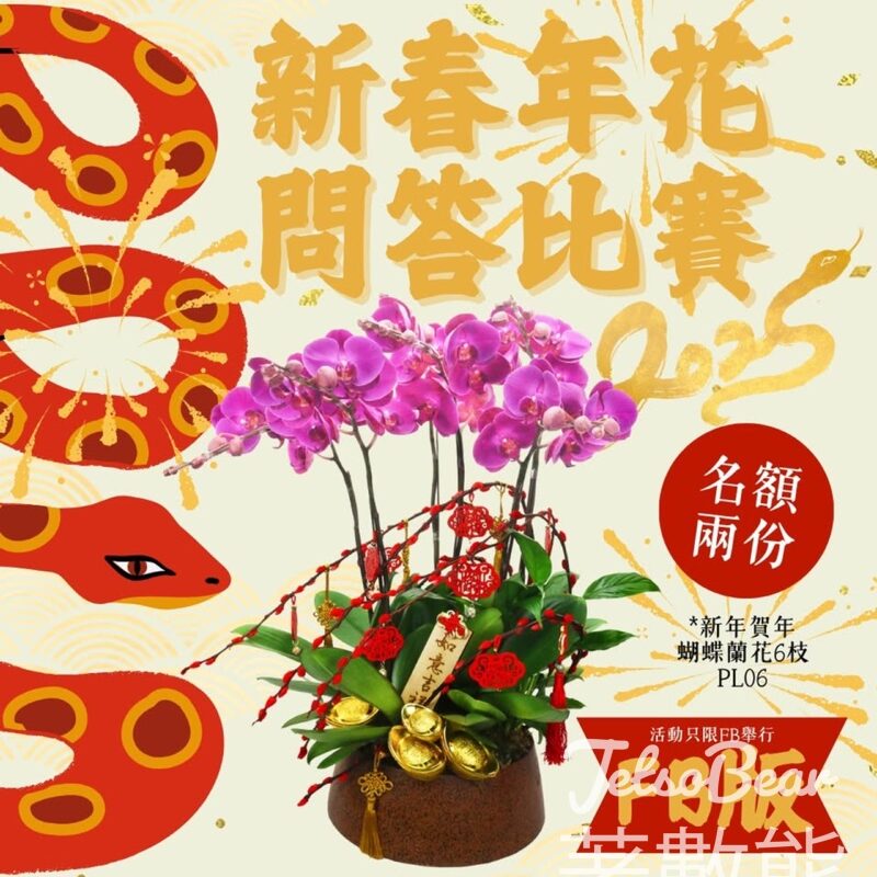 Give Gift Boutique #有獎遊戲 送新年賀年蝴蝶蘭花6枝 - Jetso Bear
