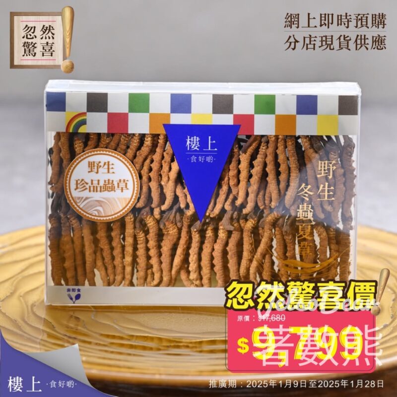 樓上野生珍品蟲草 忽然驚喜價 - Jetso Bear
