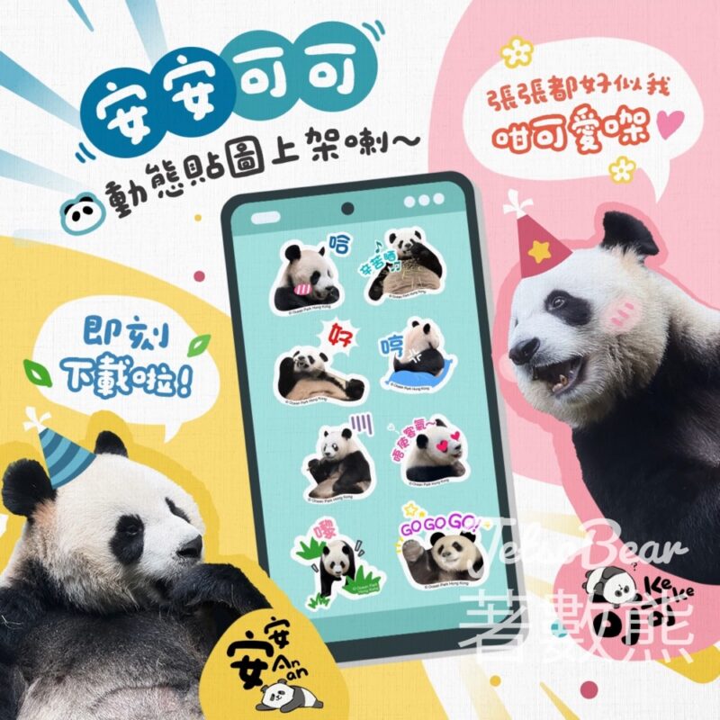 免費下載 香港海洋公園 - 《大熊貓安安可可日常篇》 WhatsApp Stickers - Jetso Bear