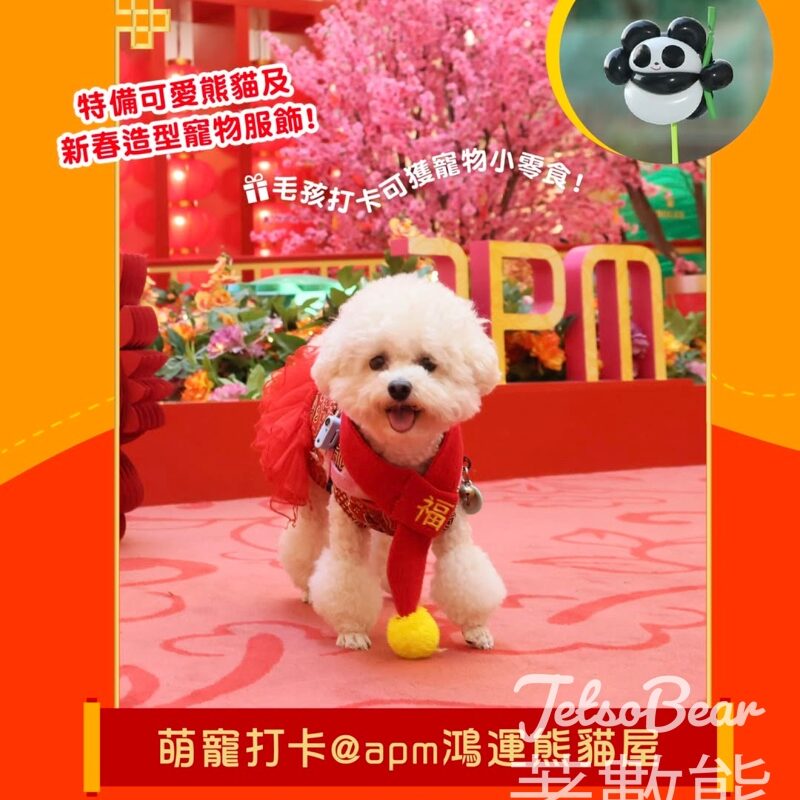 apm 免費領取 熊貓小動物造型氣球 - Jetso Bear