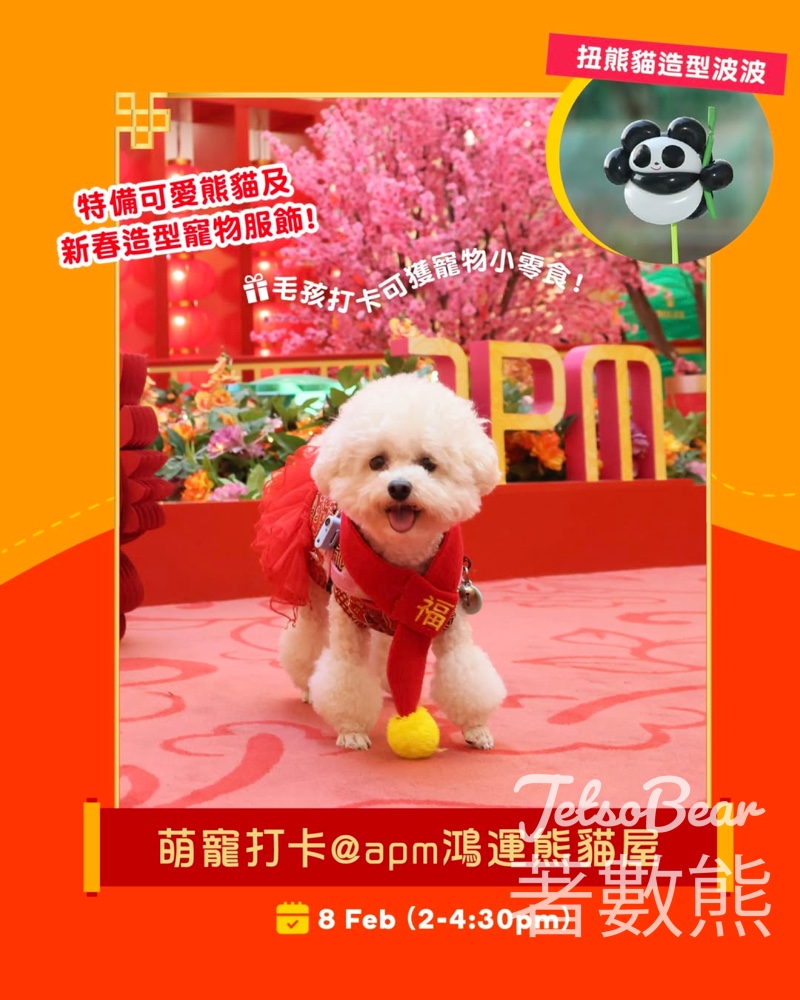 apm 免費領取 熊貓小動物造型氣球 - Jetso Bear