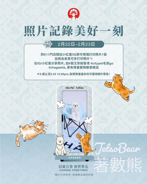 霸王茶姬打卡送限量寵物徽章 - Jetso Bear