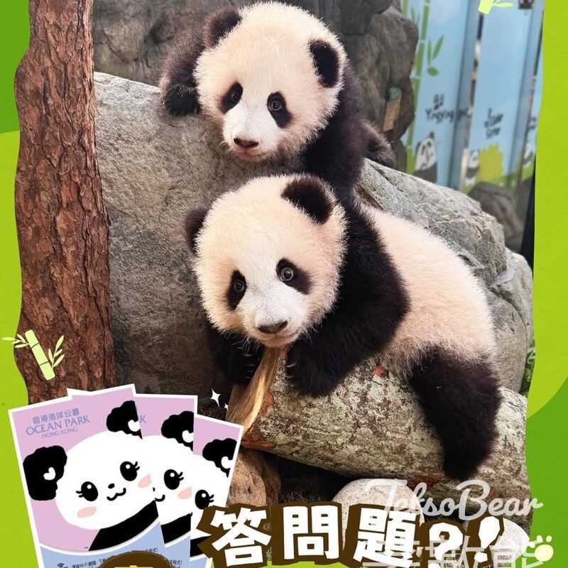 新城市廣場 #有獎遊戲 送海洋公園門票 - Jetso Bear