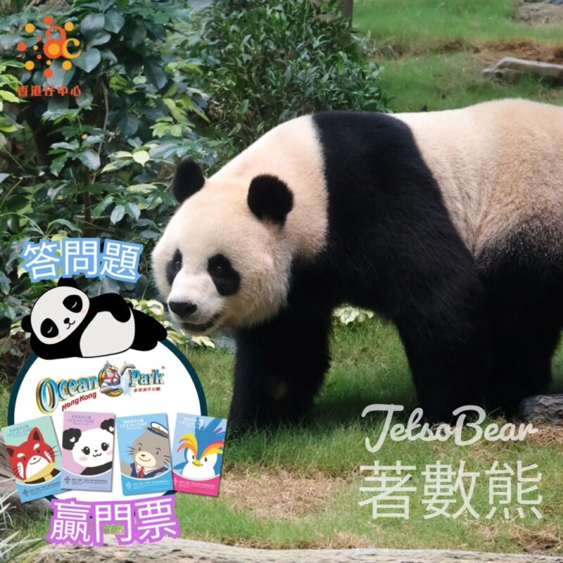 香港仔中心 #有獎遊戲 送香港海洋公園門票 - Jetso Bear