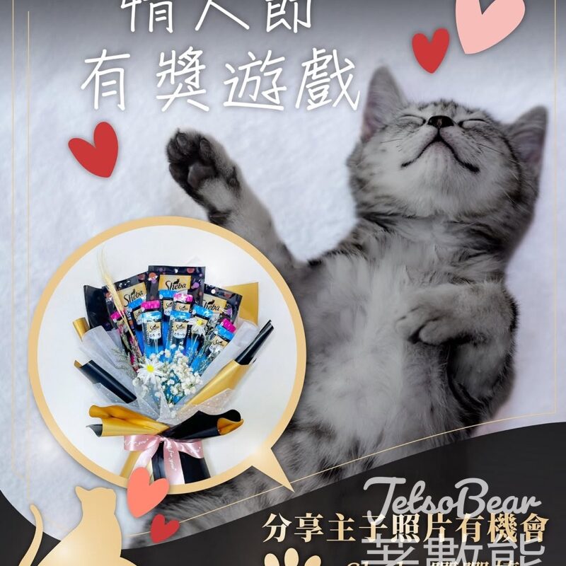 Sheba#有獎遊戲 送Sheba唧唧棒零食花 - Jetso Bear