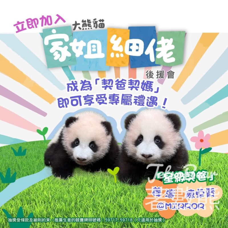 家姐細佬後援會 成為「契爸契媽」盡享禮遇 - Jetso Bear