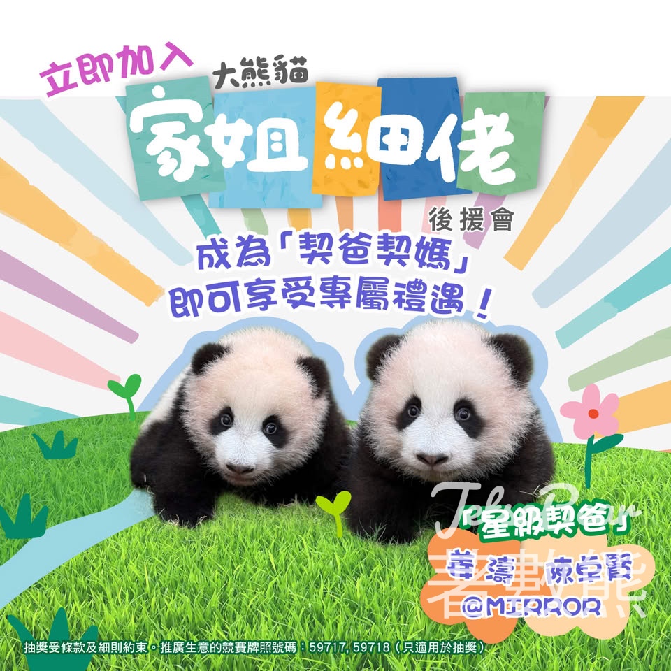 家姐細佬後援會 成為「契爸契媽」盡享禮遇 - Jetso Bear