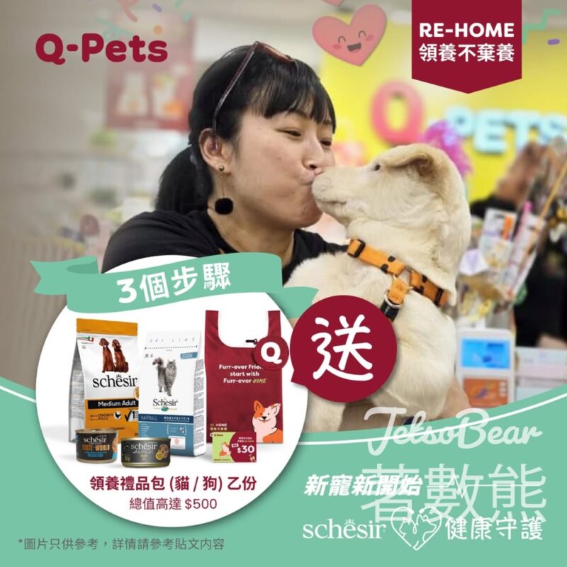 Q-PETs #有獎遊戲 送100份 Schesir領養禮品包 - Jetso Bear