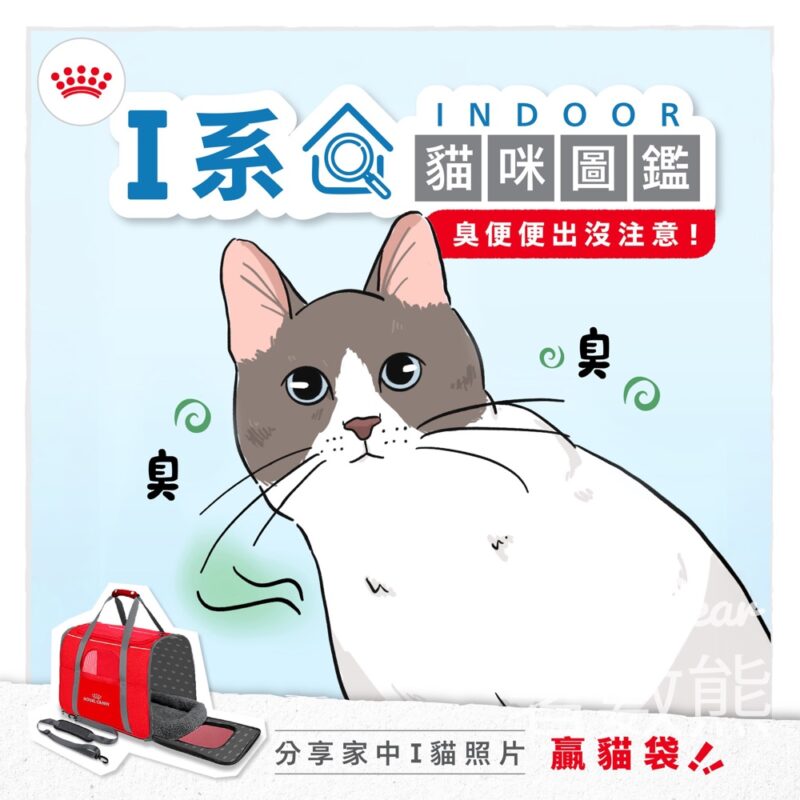 Royal Canin #有獎遊戲 送寵物外出袋 - Jetso Bear