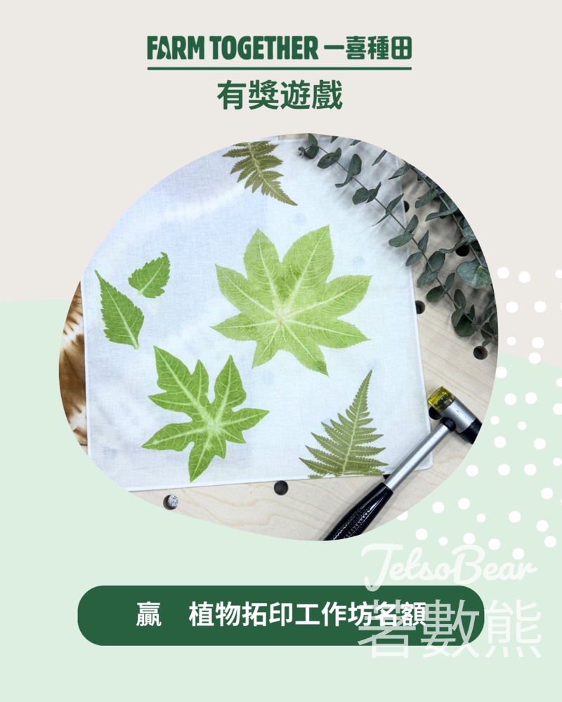 Farm Together #有獎遊戲 送植物拓印工作坊名額 - Jetso Bear