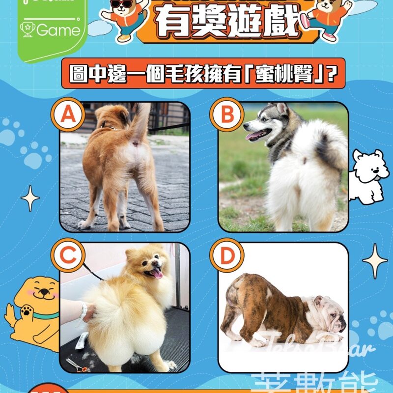 華懋集團商場 #有獎遊戲 送The Good Boy $700 寵物美容禮券 - Jetso Bear