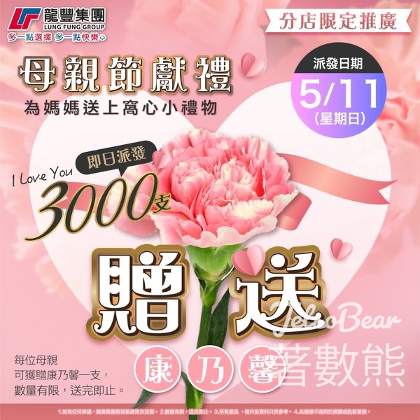 龍豐 免費派發3000支康乃馨 - Jetso Bear