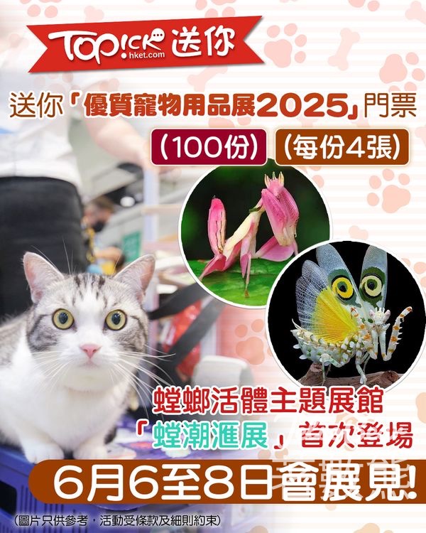 TOPick #有獎遊戲 送「優質寵物用品展2025」門票 - Jetso Bear