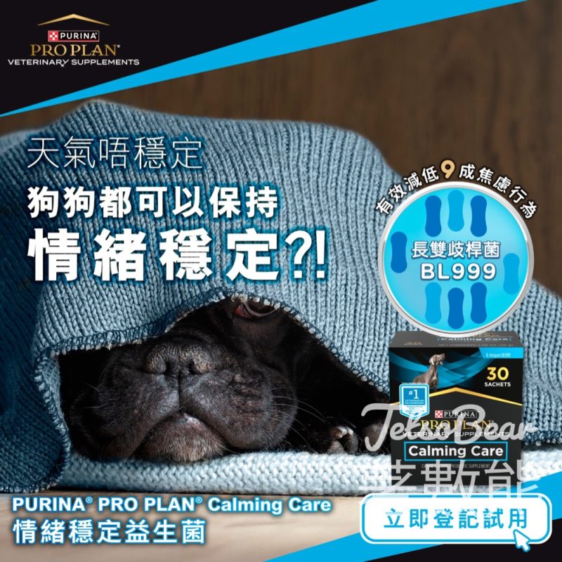 免費領取 PURINA® PRO PLAN® Calming Care情緒穩定益生菌試用裝 - Jetso Bear