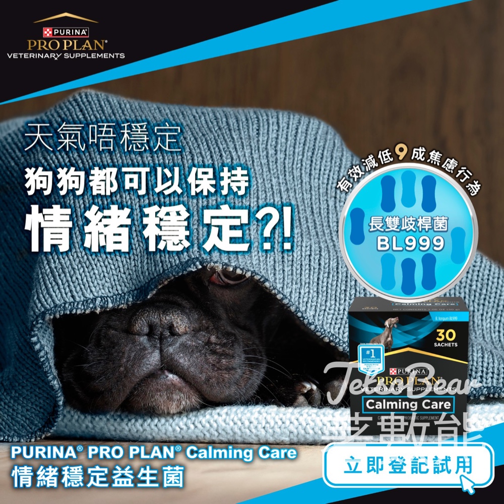 免費領取 PURINA® PRO PLAN® Calming Care情緒穩定益生菌試用裝 - Jetso Bear